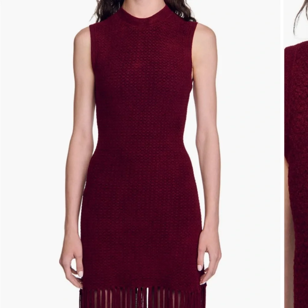 Sandro Burgundy Knit Fringe Midi Dress - Picture 4 of 7